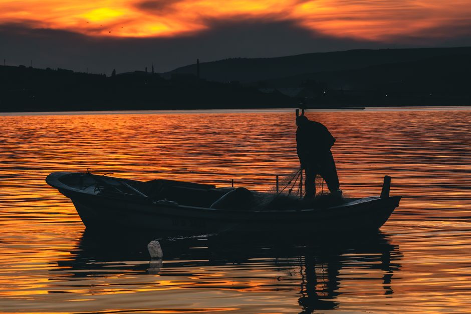 Best App to Find Top Fishing Spots Near You